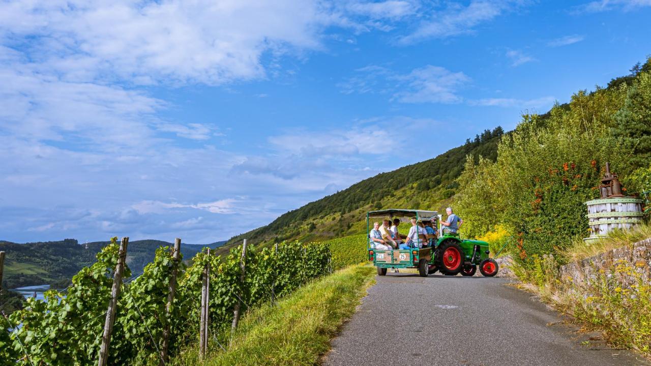 Ferienweingut Hirschen Schulstrasse Bed and Breakfast Burg  Eksteriør billede