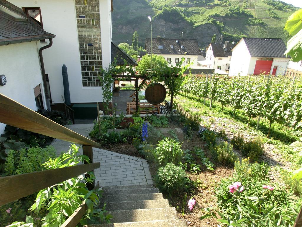 Ferienweingut Hirschen Schulstrasse Bed and Breakfast Burg  Eksteriør billede