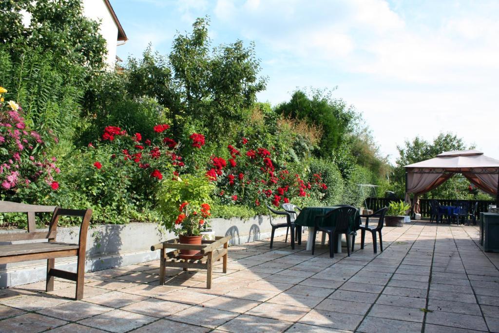 Ferienweingut Hirschen Schulstrasse Bed and Breakfast Burg  Eksteriør billede