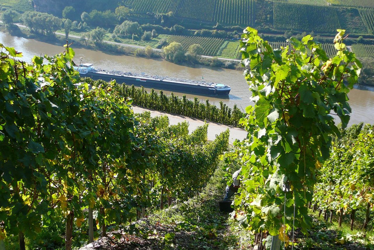 Ferienweingut Hirschen Schulstrasse Bed and Breakfast Burg  Eksteriør billede