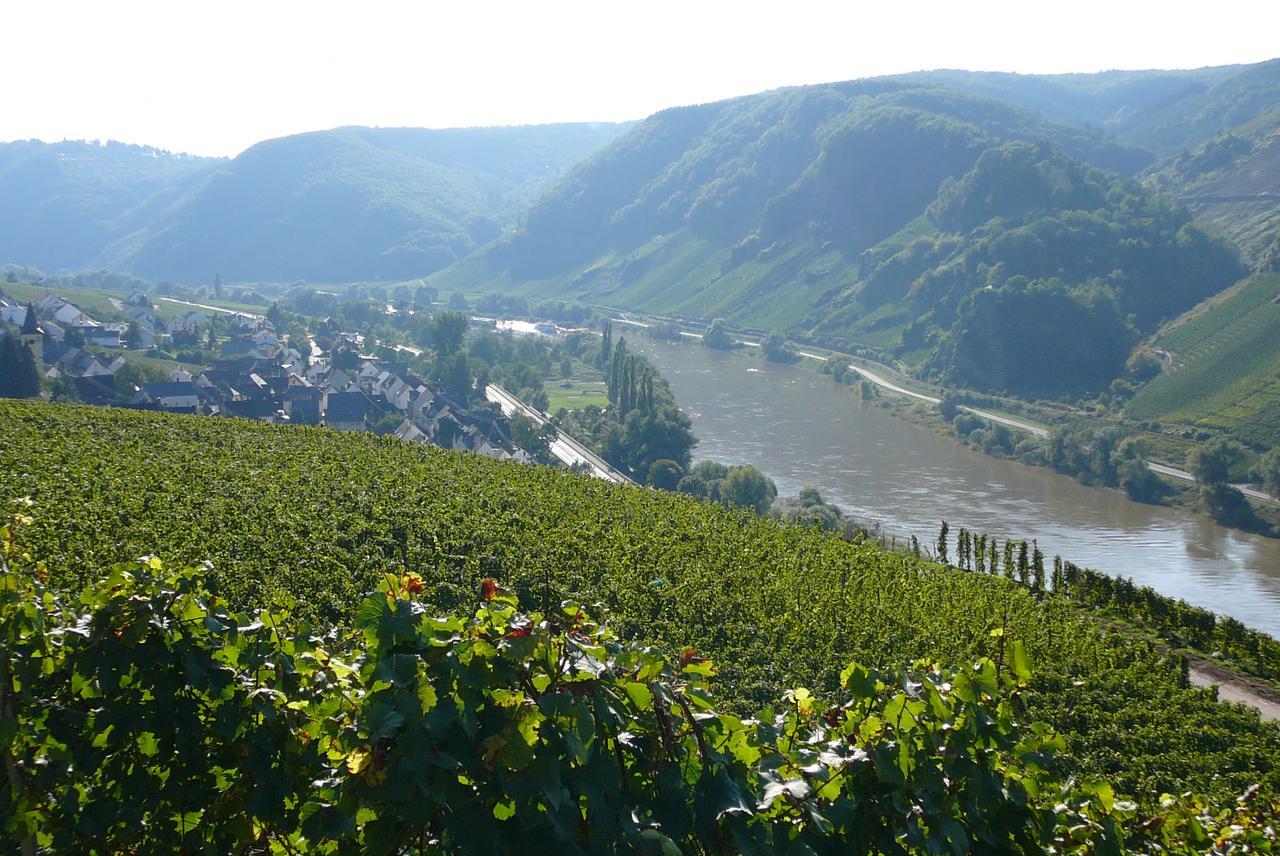 Ferienweingut Hirschen Schulstrasse Bed and Breakfast Burg  Eksteriør billede